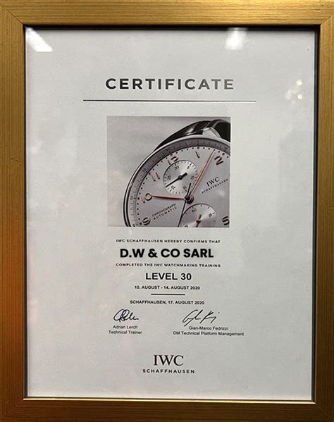 iwc service|iwc watch service center.